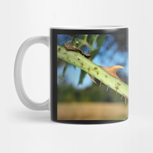 Wild rose stem with thorns Mug